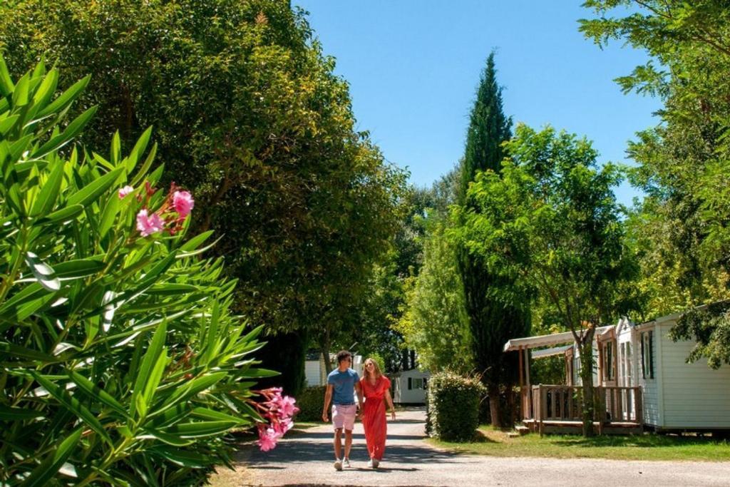 mobil home tout confort 6 personnes climatisé au pied du Luberon La Roque-d'Antheron Extérieur photo